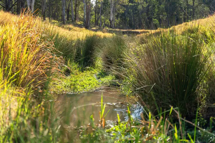 Fourth view of Homely rural property listing, Lot 16 Esk Hampton Road, Ravensbourne QLD 4352