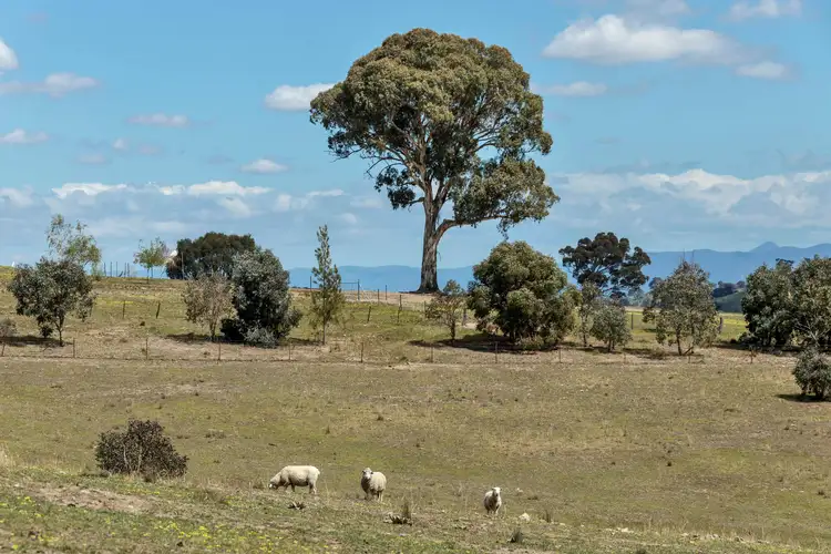 Sixth view of Homely land listing, Lot 2 588 Nanima Road, Springrange NSW 2618