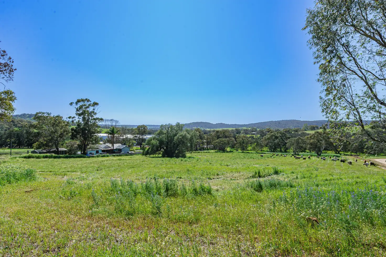 Main view of Homely house listing, 47 Crest Hill Road, Bindoon WA 6502