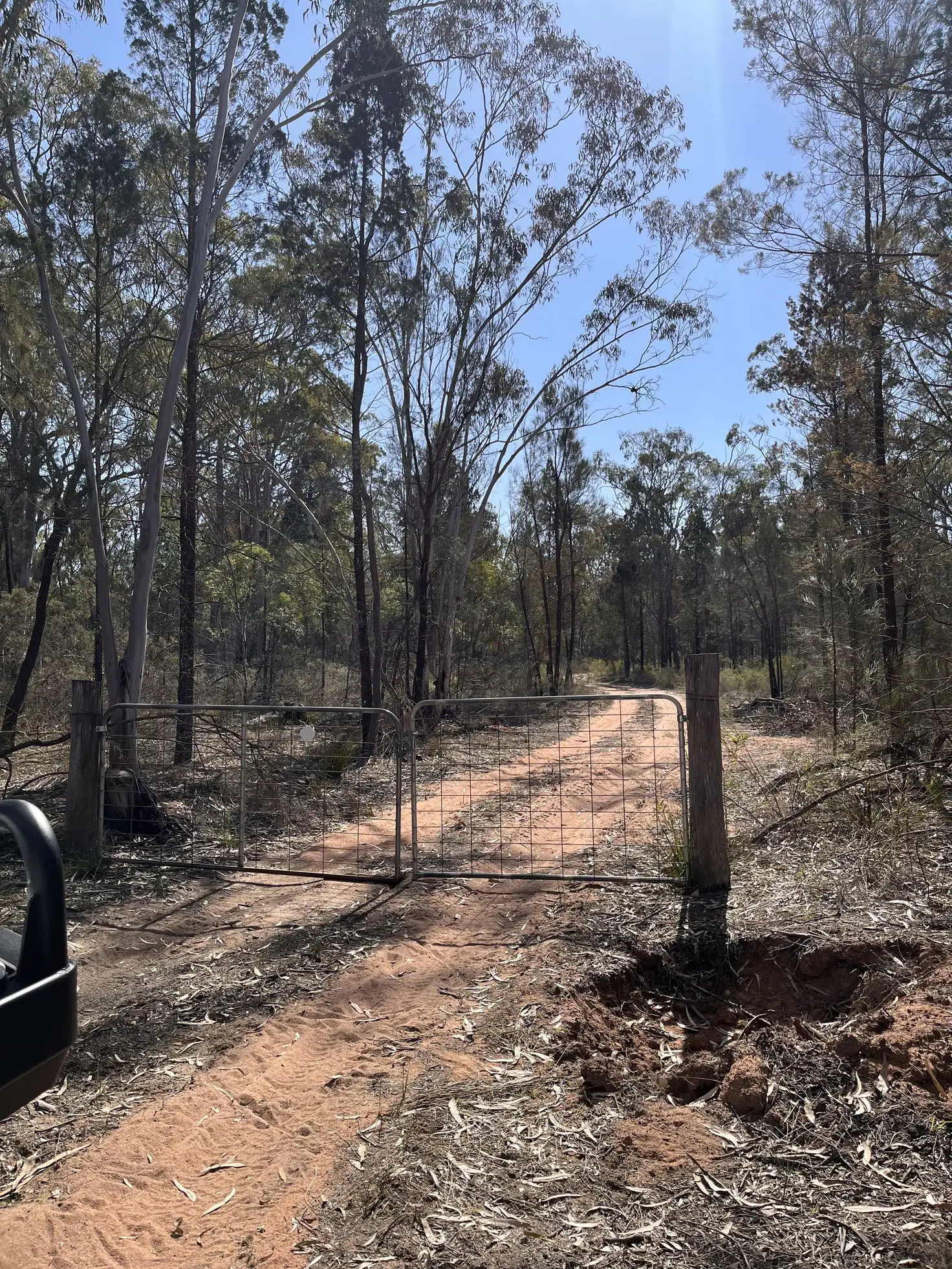 Main view of Homely rural property listing, Lot 1 Stonehenge Road, Leyburn QLD 4365