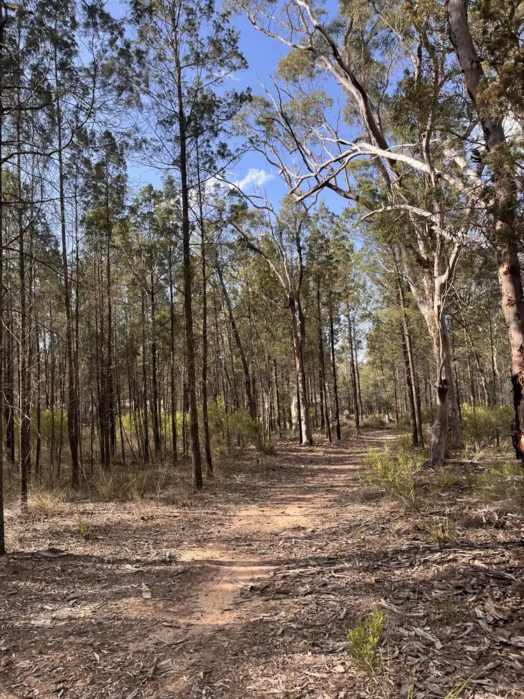 Second view of Homely rural property listing, Lot 1 Stonehenge Road, Leyburn QLD 4365