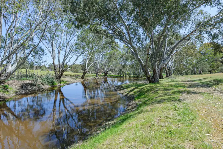 Main view of Homely house listing, 224 Smith Road, Bullsbrook WA 6084