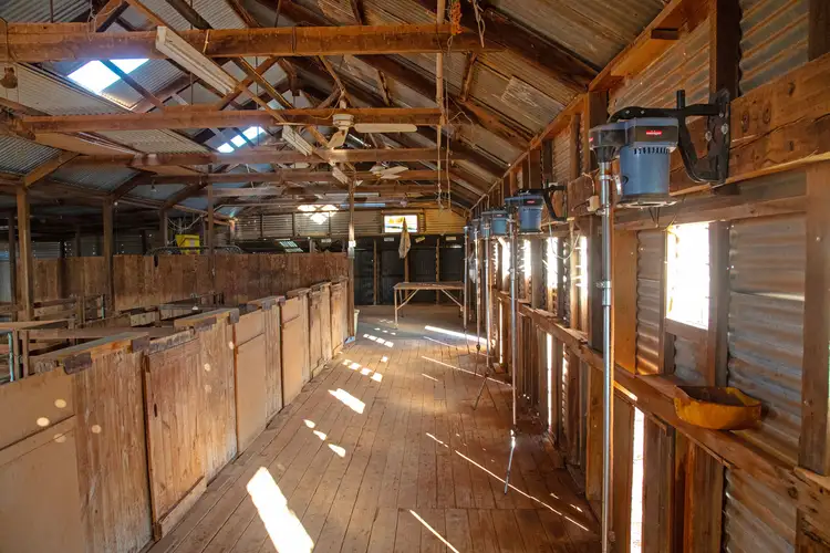 Seventh view of Homely rural property listing, 'Wilkatana Station' Wilkatana Road, Yarrah SA 5433