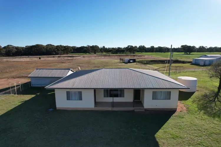 325 Tralee Lane, Peak Hill NSW 2869