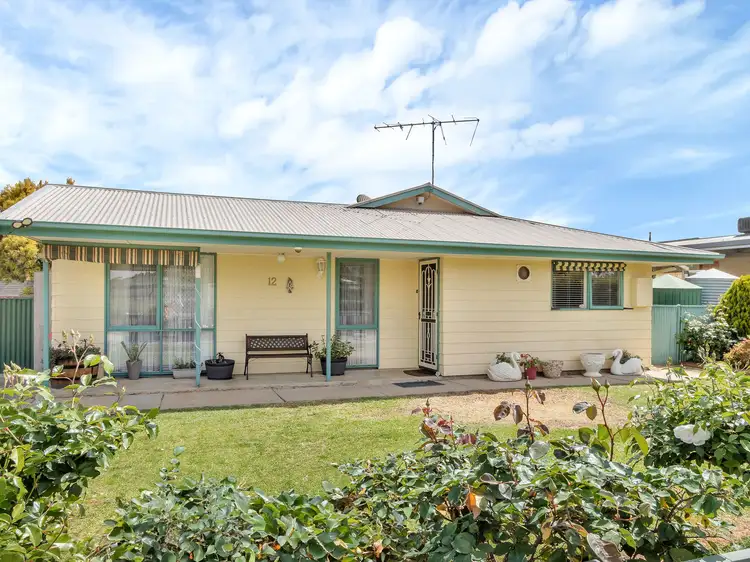 Second view of Homely house listing, 12 Hanisch Street, Freeling SA 5372