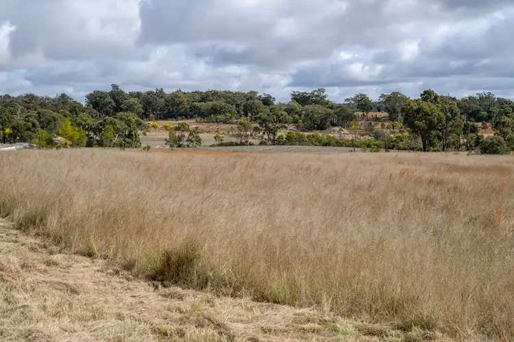 Seventh view of Homely rural property listing, 393 Nundubbermere Road, Stanthorpe QLD 4380