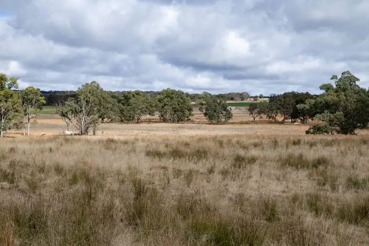 Third view of Homely rural property listing, 222 Nundubbermere Road, Greenlands QLD 4380