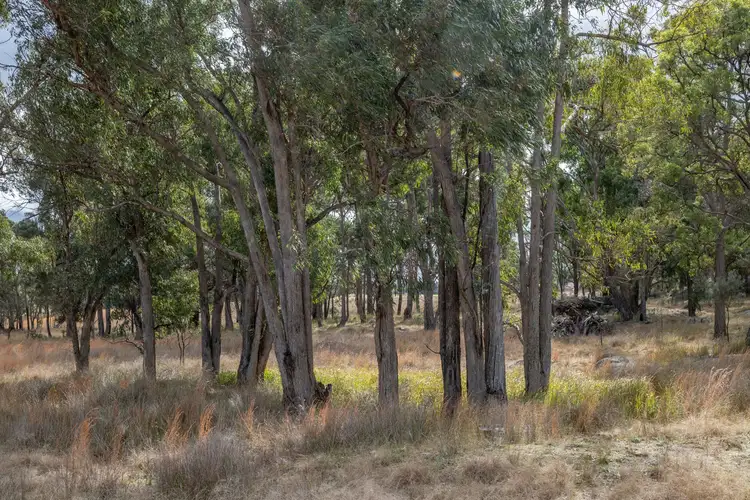 Fifth view of Homely rural property listing, 222 Nundubbermere Road, Greenlands QLD 4380