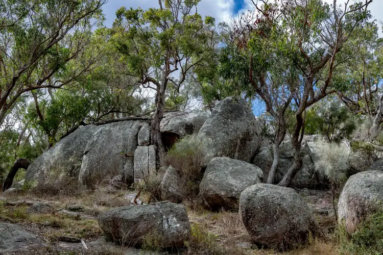 Seventh view of Homely rural property listing, 222 Nundubbermere Road, Greenlands QLD 4380
