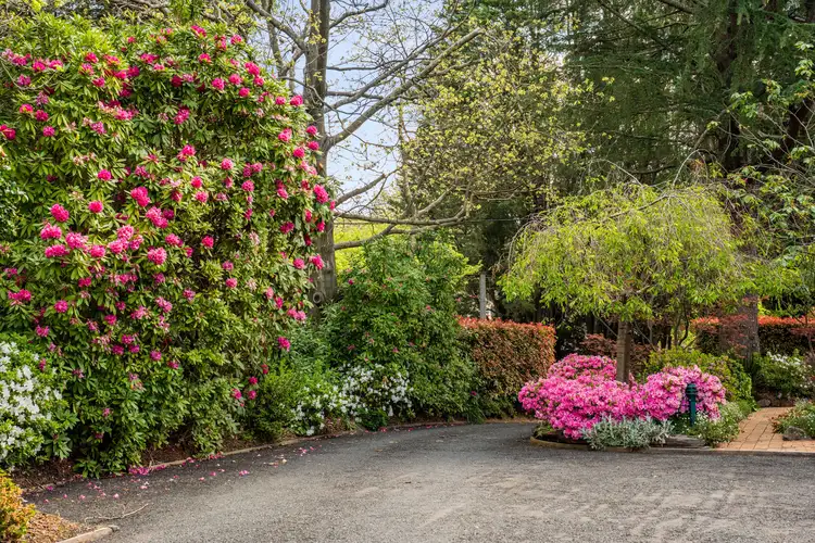 Fourth view of Homely villa listing, 8/78 Bendooley Street, Bowral NSW 2576