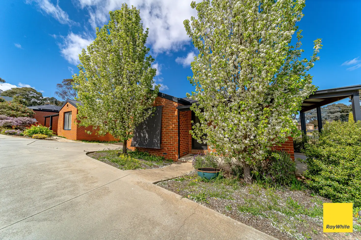 Main view of Homely unit listing, 1/81 Osborne Street, Flora Hill VIC 3550