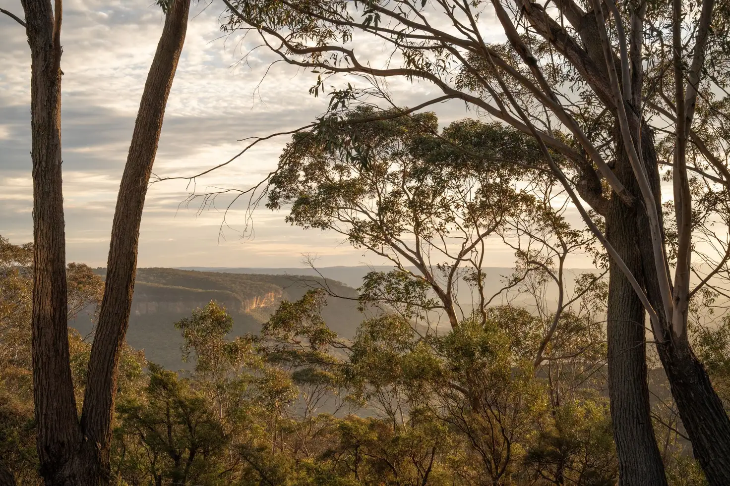 Main view of Homely land listing, 4 View Street, Blackheath NSW 2785