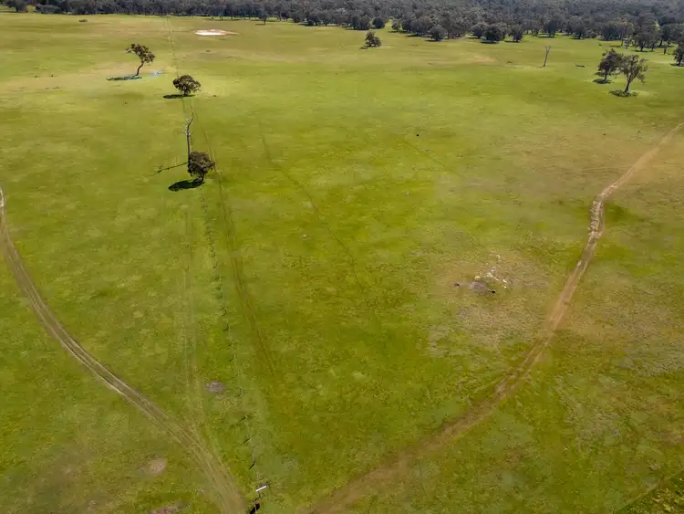 Sixth view of Homely rural property listing, 353 Frankland-Cranbrook Road, Frankland River WA 6396