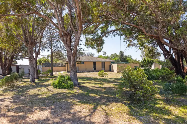 Main view of Homely house listing, 46 Thomas Street, Leeman WA 6514