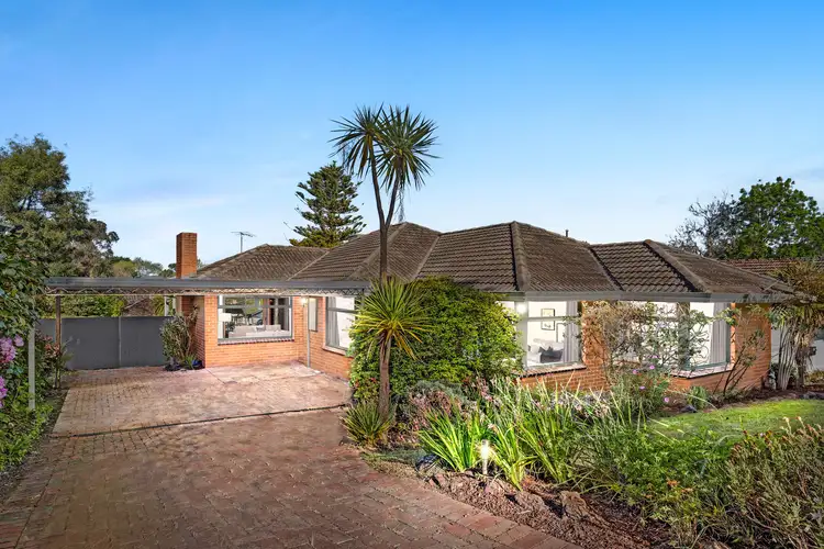 Main view of Homely house listing, 16 Cass Avenue, Croydon VIC 3136