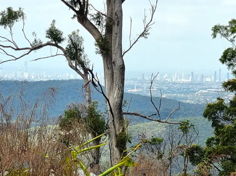 Second view of Homely house listing, 440-444 Henri Robert Drive, Tamborine Mountain QLD 4272