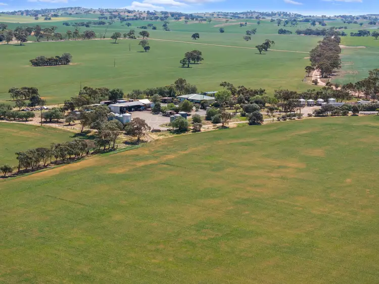 'Wurinya' Hansborough Road, Buchanan SA 5374