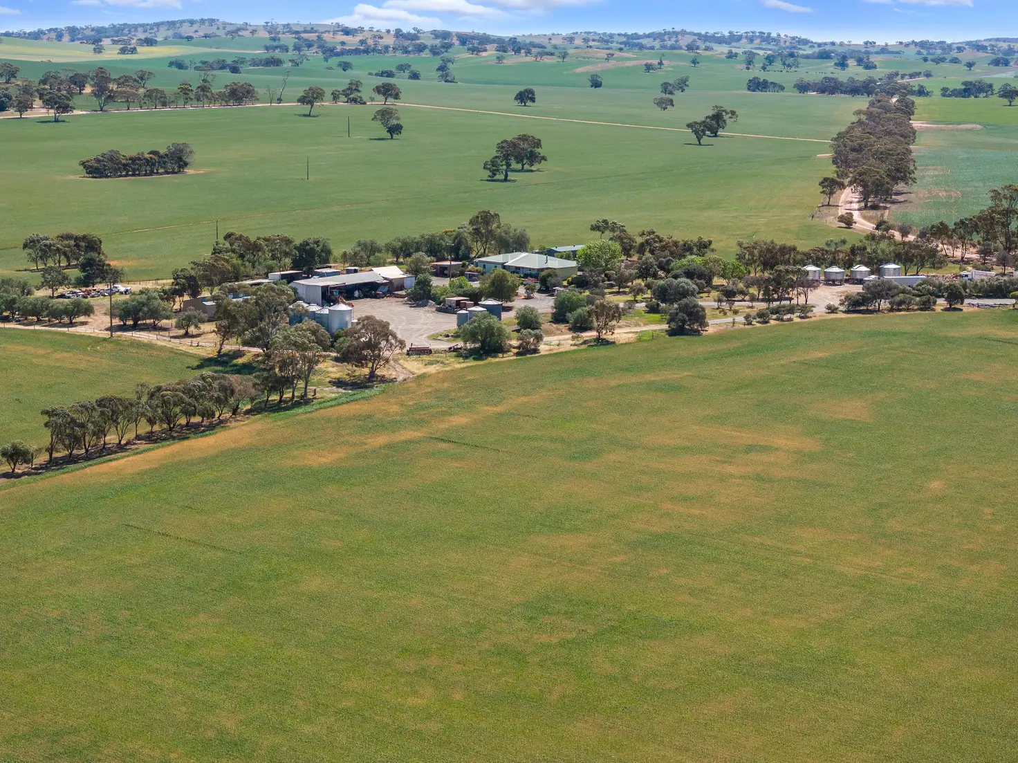 Main view of Homely rural property listing, 'Wurinya' Hansborough Road, Buchanan SA 5374