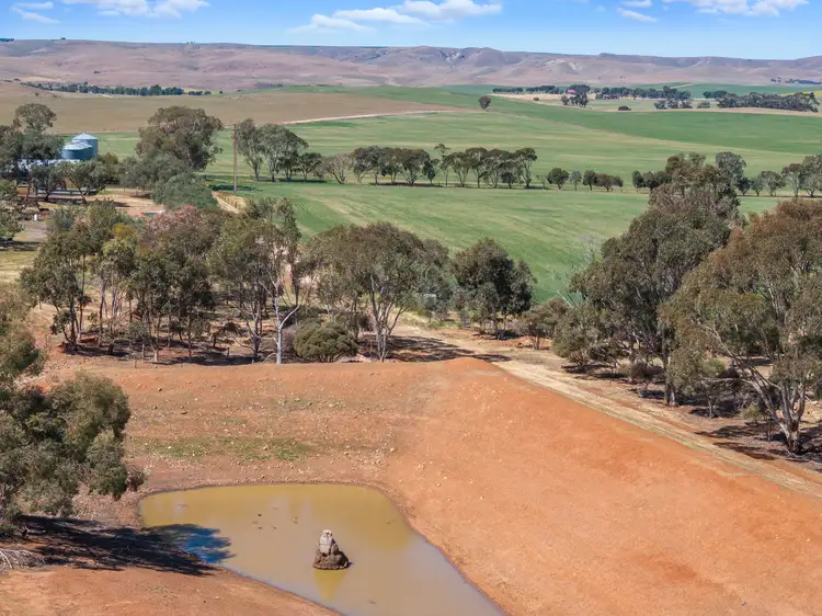 Fifth view of Homely rural property listing, 'Wurinya' Hansborough Road, Buchanan SA 5374