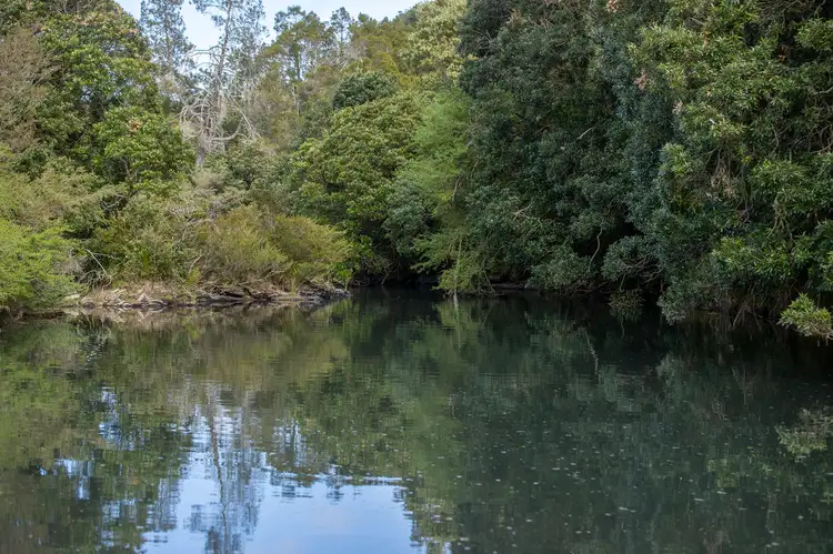 Third view of Homely rural property listing, 984 & 1100 Coramba Road, Megan NSW 2453
