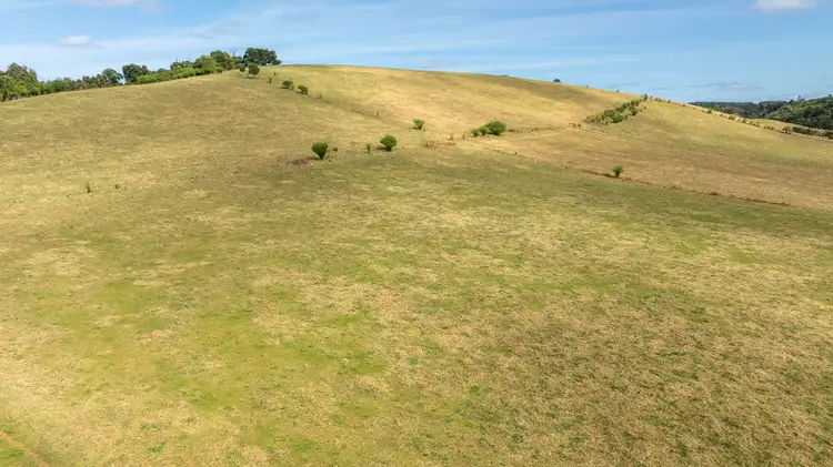 Sixth view of Homely rural property listing, 984 & 1100 Coramba Road, Megan NSW 2453