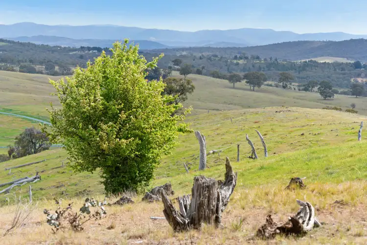 Main view of Homely land listing, 188 Newington Road, Bywong NSW 2621