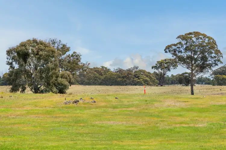 Fifth view of Homely land listing, 370 Newington Road, Bywong NSW 2621