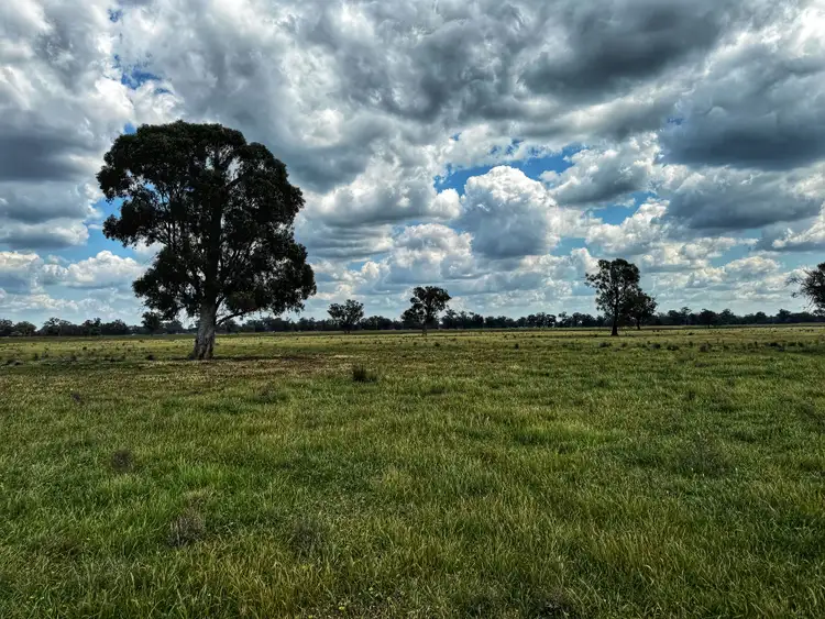 Sixth view of Homely rural property listing, Part Rosewood Taweni Road, Peak Hill NSW 2869