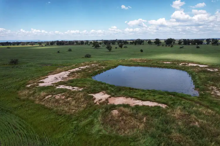 Seventh view of Homely rural property listing, Part Rosewood Taweni Road, Peak Hill NSW 2869