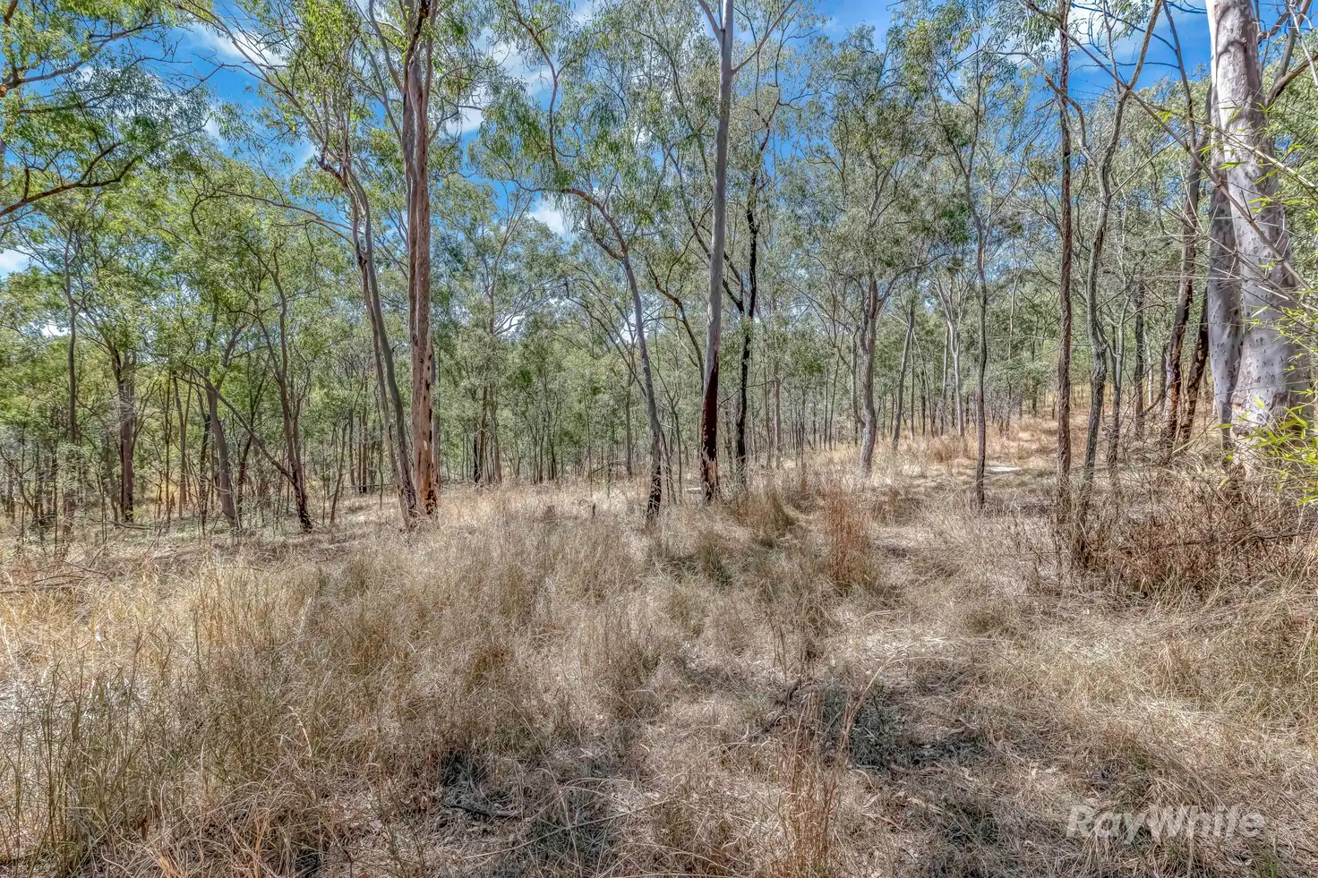 Main view of Homely land listing, 103 Doughboy Road, Doughboy QLD 4671
