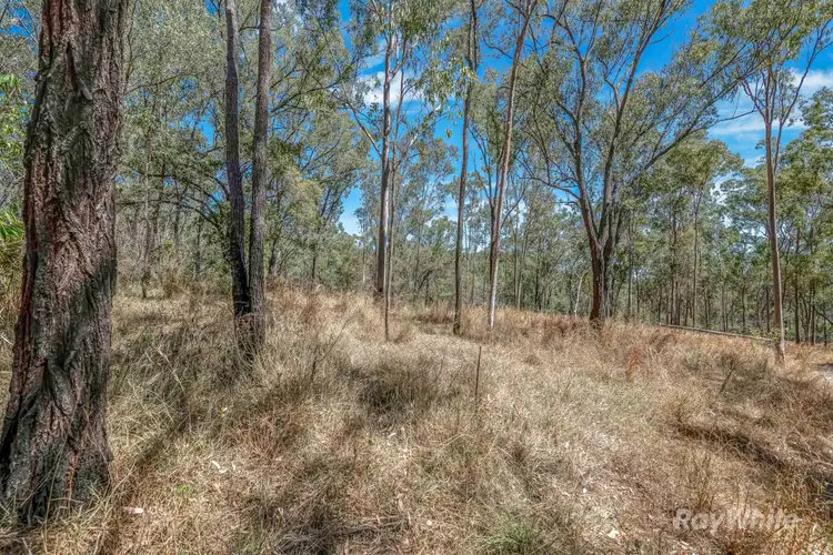 Fifth view of Homely land listing, 103 Doughboy Road, Doughboy QLD 4671
