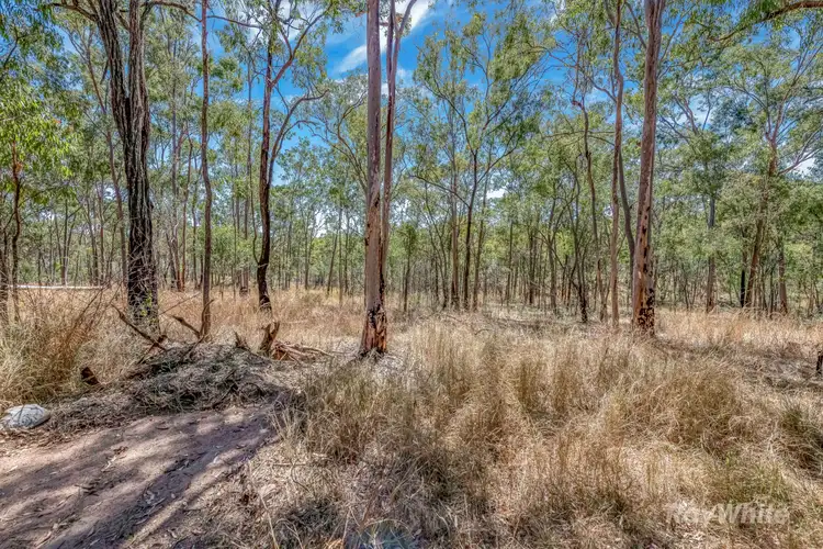 Sixth view of Homely land listing, 103 Doughboy Road, Doughboy QLD 4671