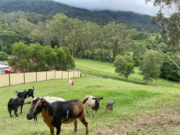 533 Mount Brisbane Road, Mount Pleasant QLD 4521