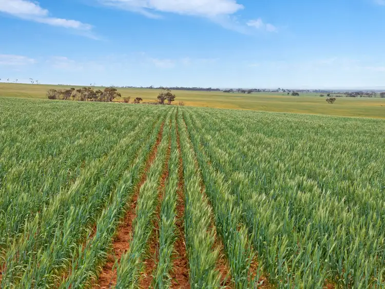 Second view of Homely rural property listing, 'Wilsons' Beaufort Road, Whitwarta SA 5461