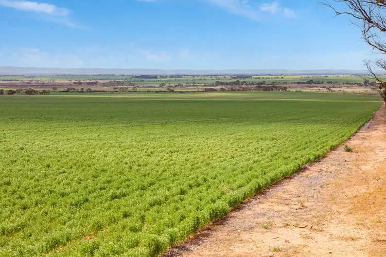Third view of Homely rural property listing, 'Wilsons' Beaufort Road, Whitwarta SA 5461
