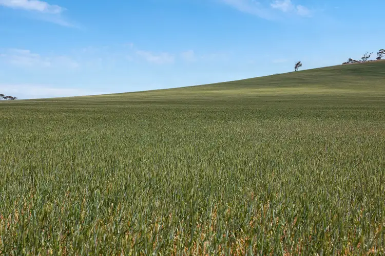 Fifth view of Homely rural property listing, 'Wilsons' Beaufort Road, Whitwarta SA 5461