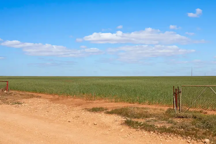 Sixth view of Homely rural property listing, 'Wilsons' Beaufort Road, Whitwarta SA 5461