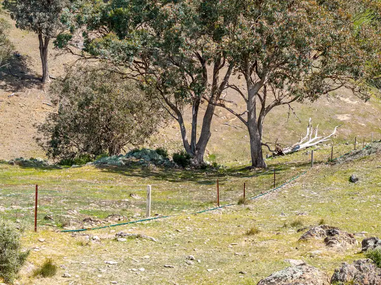 Sixth view of Homely rural property listing, 'Bartagunyah' Survey Road, Melrose SA 5483