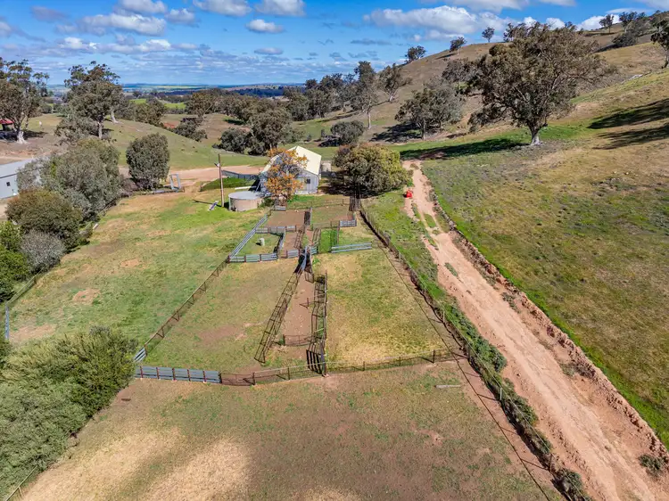 Seventh view of Homely rural property listing, 'Bartagunyah' Survey Road, Melrose SA 5483