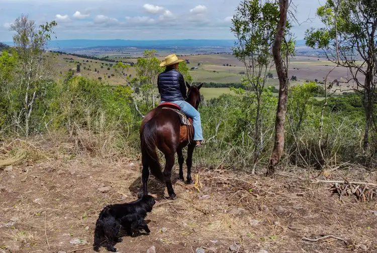 Lot 7 Pincott Road, Mount Colliery QLD 4370