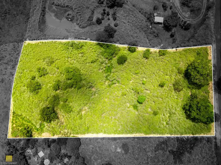 Third view of Homely land listing, 1964C Palmerston Highway, East Palmerston QLD 4860