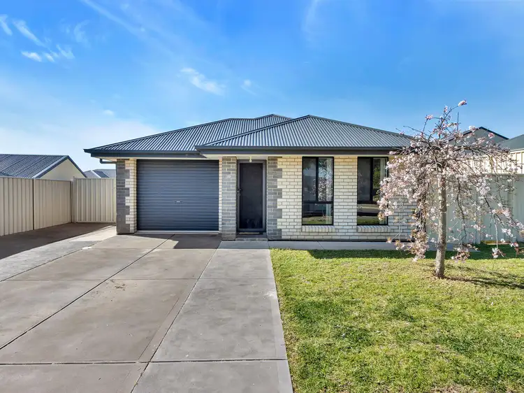 29 Pedler Boulevard, Freeling SA 5372
