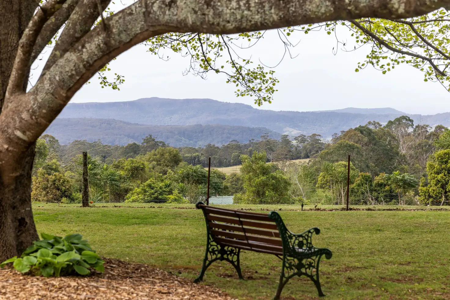 Main view of Homely house listing, 778A Kangaroo Valley Road, Bellawongarah NSW 2535