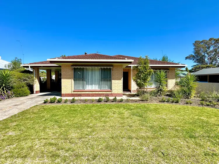 Main view of Homely house listing, 53 Naracoorte Road, Bordertown SA 5268