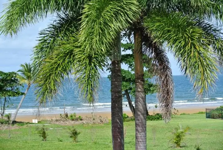 Second view of Homely house listing, 12 Conch Street, Mission Beach QLD 4852