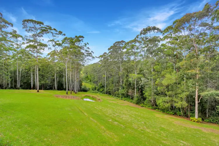 Fifth view of Homely rural property listing, 271 Newmans Road, Wootton NSW 2423