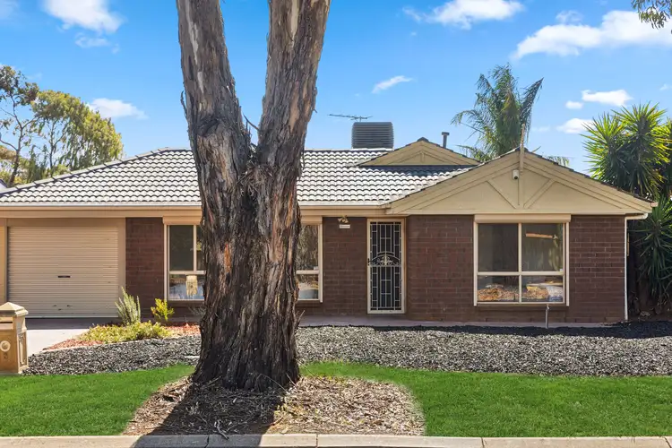 3 John Bull Court, Andrews Farm SA 5114