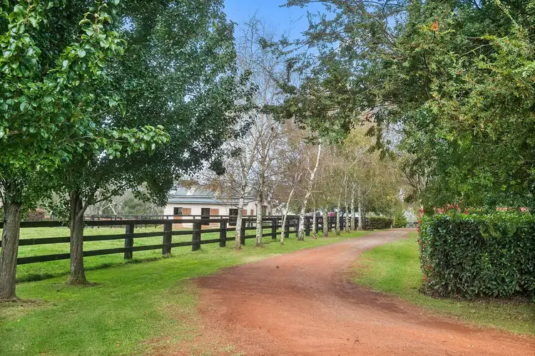 Third view of Homely rural property listing, 103 Redhills Road, Fitzroy Falls NSW 2577