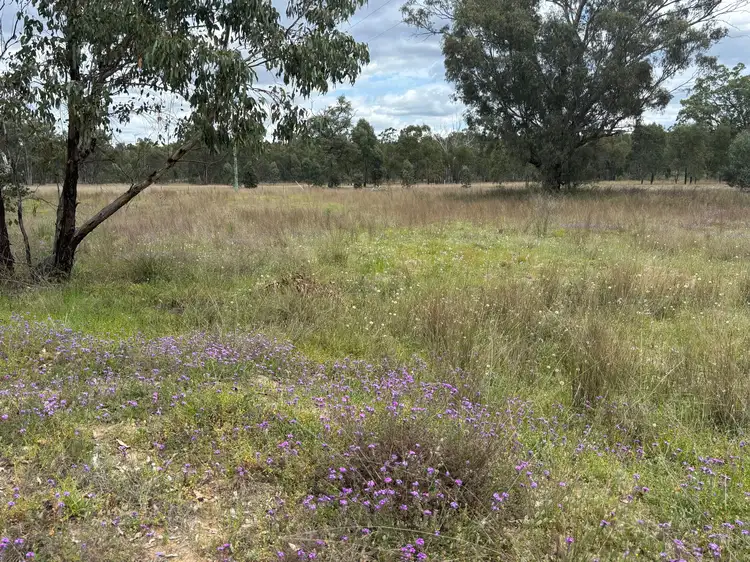 Main view of Homely rural property listing, 93 Fairford Road, Warialda NSW 2402
