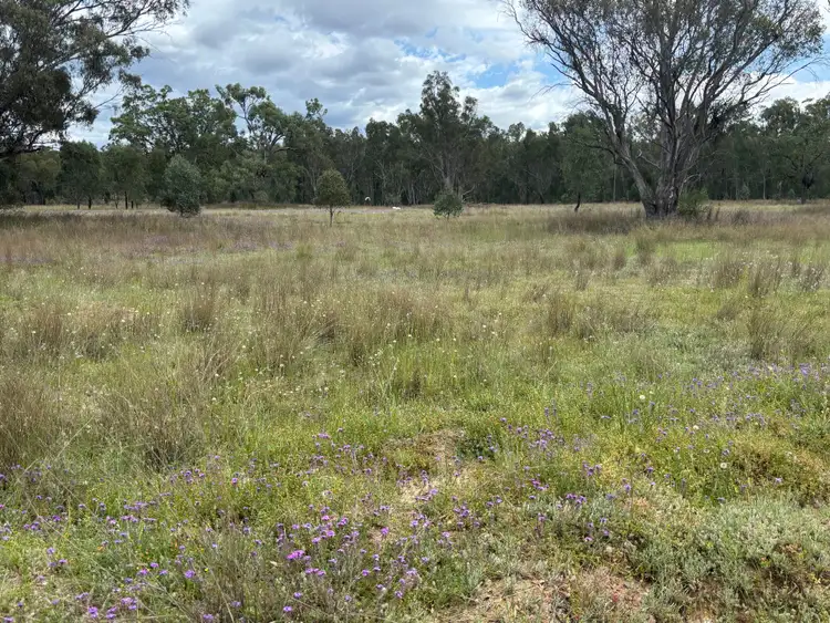 Second view of Homely rural property listing, 93 Fairford Road, Warialda NSW 2402
